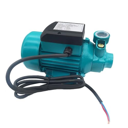 12 V/24/48 V DC Solar-Hochdruck-Kreisel-Vortex-Pumpen, Selbstansaugende Batterie-Reinwasserpumpe(12V) von DSXPZBGED