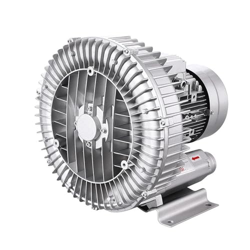 200 W Industrielles Leistungsstarkes Gebläse Hochdruckluftpumpe Kreiselvakuumpumpe Vortex-Luftvakuumpumpe Fischteichbelüfter(250W) von DSXPZBGED