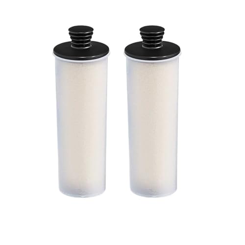 Kompatibel Mit Karcher, SC-Serie SC1 SC2 SC3 SC4 SC5 SC7 CTK10 CTK20 Staubsauger-Entkalkungspatronenfilterstab 2.863-018.0 28630180(2 pcs) von DSXPZBGED