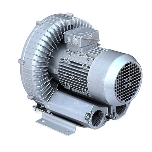 DSeenLeap Einstellbare kleine Tauchpumpe 50/60Hz Weitspannungs-Hochdruckturbinenluftgebläse für Luftmesser, abgeblasenes 2-PS-Ringgebläse von DSeenLeap