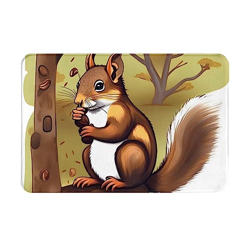 DTGPRO Fußmatte mit Eichhörnchen-Motiv, 40 x 60 cm, für drinnen und draußen, saugfähig und rutschfest, pflegeleicht von DTGPRO