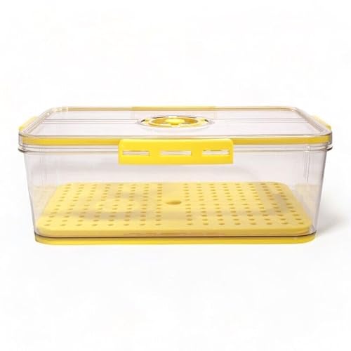DTP-SOFT Lebensmittelbehälter, Box mit Timer, Ständer mit Sieb Vorratsdosen (7006 Gelb) von DTP-SOFT