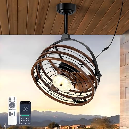 DTSDWA Outdoor Deckenventilator mit Beleuchtung Leise Dimmbar Ventilator Deckenlampe Retro Wasserdicht Ventilator Lampe mit Fernbedienung, APP,6-Gang,Timer für Terrasse Garten Schlafzimmer (Braun) von DTSDWA