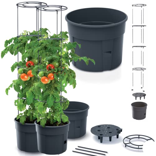 DTU24 2er Tomatenpflanze Set Pflanzkübel Tomato Grower Pflanzen Tomate Garten Terrasse 29,5 x 15,3 (IPOM300) Anthrazit von DTU24