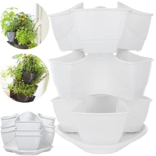 DTU24 Vertikaler Kräutergarten Kräutertopf 40x30cm Minigarden Pflanzturm Weiß von DTU24