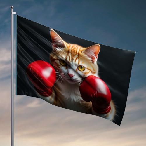 Lustige Poster für Studentenwohnheim, Boxkatze in roten Handschuhen, Flagge, Outdoor-Dekoration, Poster für Studentenwohnheim (30 x 45 cm) von DTWE