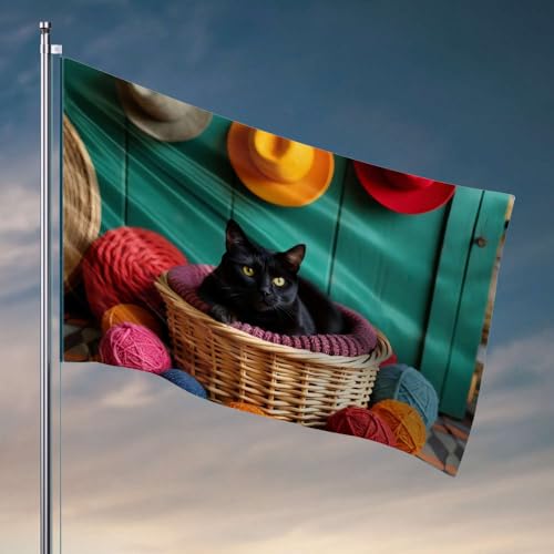 Lustige Poster für Studentenwohnheim, schwarze Katze in einem Korb mit bunten Garnen. Flagge, Outdoor-Dekoration, Poster für Studentenwohnheim (30 x 45 cm) von DTWE