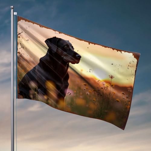 Wohnheim-Dekorationen für College-Jungs, ein schwarzer Hund sitzt in einem Feld von Wildblumen bei Sonnenuntergang, Flagge für Jungen, Spielzimmer-Möbel, 60 x 90 cm von DTWE