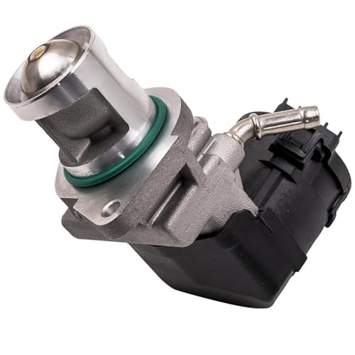 EGR-Ventil passend für BMW E87 E88 E90 E91 E92 E93 F10 F07 F30 E70 E71 318d 320d 330d von DTYBJN