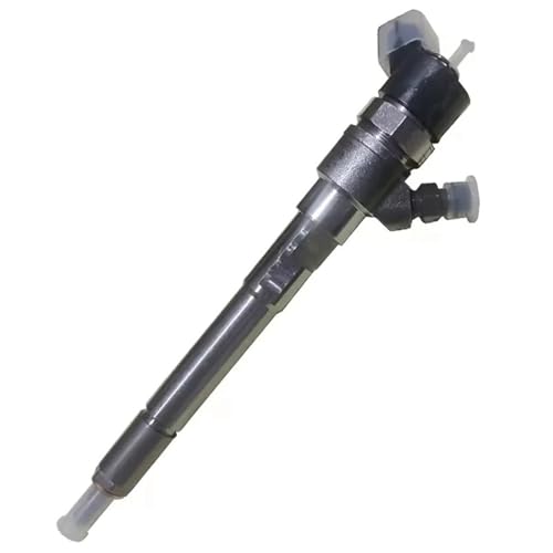 Einspritzdüsen Auto Kraftstoffeinspritzer 0445110253 0445110254 0445110258 0445110726 Kraftstoffinjektor passend für Hyundai Santa Fe passend für KIA VGT EU4 2.2L Motor(0445110254) von DTYBJN