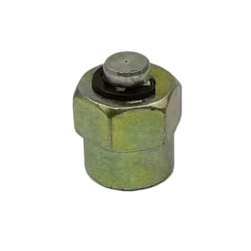Einspritzdüsen Auto Kraftstoffeinspritzer Diesel Common Rail Rohr Stecker Öl Di Abdichtung Schraube M12 14 16 18 20 Kraftstoff Pumpe Prüfstand Ersatzteil(M12) von DTYBJN