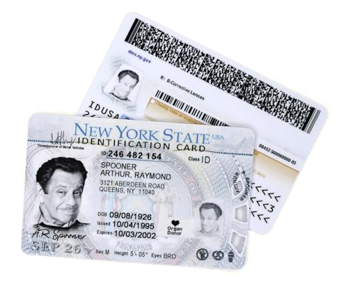 DUB SPENCER 2x Fake ID Arthur Spooner lustiger Scherzartikel Ausweis unechte Driver License für Geburtstag als witziges Gag Geschenk (2er Pack) von DUB SPENCER