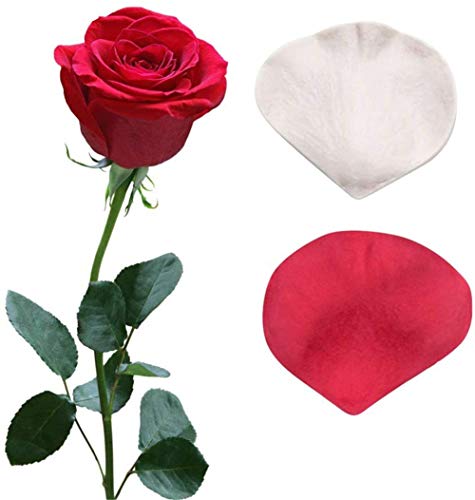 DUBENS Rose Blütenblatt Veiner Kuchen Silikon Form Hochzeit Kuchen Dekoration Fondant Formen Doppelseitige Druck Mould Kuchen Dekorieren Tool Set DUBENS Rose Blütenblatt Veiner Kuchen Silikon Form Hochzeit Kuchen Dekoration Fondant Formen Doppelseitige Druck Mould Kuchen Dekorieren Tool Set von DUBENS