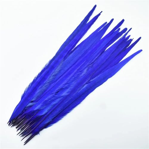 DUBTEDHOU Federn Dekoration von DIY Handwerk, 10 Stück Ringneck Fasan Schwanzfedern Mehrfarbig Mehrere Größen(Royal Blue1,40-45cm 16-18inch) von DUBTEDHOU