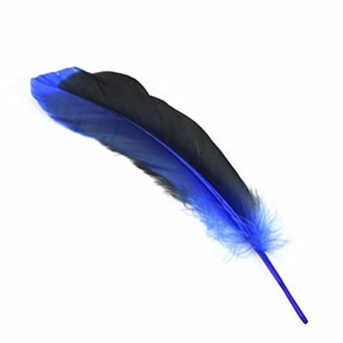 DUBTEDHOU Federn Dekoration von DIY Handwerk, 20er-Pack Fasanenfedern zur Schmuckherstellung, for Fliegenbinden und zur Hochzeitsdekoration in Mehreren Farben(Royal Blue) von DUBTEDHOU