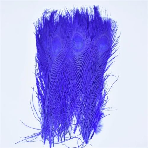 DUBTEDHOU Federn Dekoration von DIY Handwerk, Gefärbte Pfauenfedern, 10er-Pack, Mehrfarbig, 25,4–30,5 cm(Royal Blue) von DUBTEDHOU