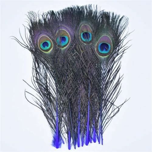DUBTEDHOU Federn Dekoration von DIY Handwerk, Gefärbte Pfauenfedern, 10er-Pack, Mehrfarbig, 25,4–30,5 cm(Royal Blue1) von DUBTEDHOU