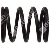 Ventilfeder für DUCAR-Motorpumpen - 049582 Ventilfeder für DUCAR-Motorpumpen - 049582 von DUCAR