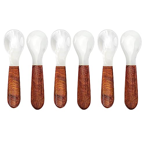 DUEBEL Set mit 6 Kaviarlöffeln mit Holzgriff, 12 cm Perlmuttlöffel für Kaviar-Servieren, Eier-Servieren, Catering-Deroration von DUEBEL