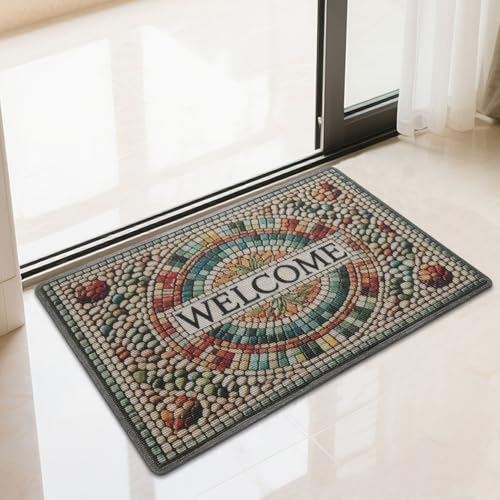 DUEYUN Fußmatte Innen 43.7 * 75cm, rutschfeste Schmutzfangmatte, Maschinenwaschbare Fussmatte, Saugstarke Türmatte, Sauberlaufmatte, Eingangsteppich für Hund, Haustür & Flur von DUEYUN
