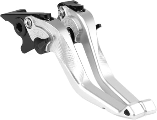 DUEYUU Pitbike-Teile Motorradbremskupplungshebel für MT01 für MT-01 für MT 01 2004 2005 2006 2007 2008 2009(Silber) von DUEYUU