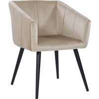 Esszimmerstuhl aus Stoff (Samt) Farbauswahl Retro Design Stuhl mit Rückenlehne Sessel Metallbeine Duhome 8065/Beige, Samt/DH0160 - Beige, Samt von DUHOME