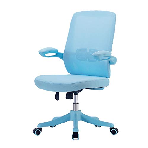 DUIRHNFV Swivel Fabric Mesh Office Chairs, Excutive Desk Chairs Ergonomic Household Study Task Stuhl mit lumbaler Unterstützung, 2 Farben (Farbe: Blau) von DUIRHNFV