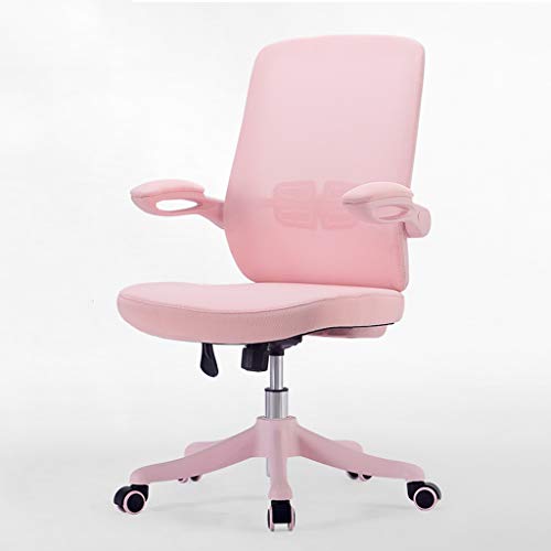 DUIRHNFV Swivel Fabric Mesh Office Chairs, Excutive Desk Chairs Ergonomic Household Study Task Stuhl mit lumbaler Unterstützung, 2 Farben (Farbe: Pink) von DUIRHNFV