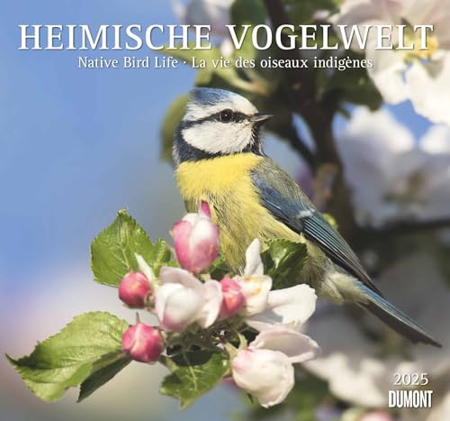 DUMONT - Heimische Vogelwelt 2025 Wandkalender, 38x35,5cm, Kalender mit beeindruckenen Aufnahmen der Vogelwelt, mit den wichtigsten Feiertagen von DUMONT