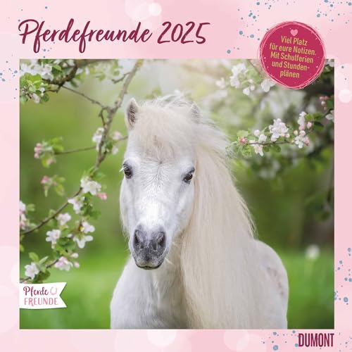Pferdefreunde 2025 - Broschürenkalender - Kinder-Kalender - Format 30 x 30 cm von DUMONT