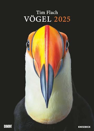 Tim Flach: Vögel 2025 – Posterkalender von DUMONT– Vogel-Porträts von Tim Flach – Poster-Format 50 x 70 cm von DUMONT