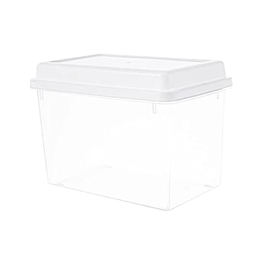 DUMRALBQE Brotkasten Food Bread Storage Box Transparent Fruit with Lid zur Aufbewahrung Frisch halten DUMRALBQE Brotkasten Food Bread Storage Box Transparent Fruit with Lid zur Aufbewahrung Frisch halten von DUMRALBQE