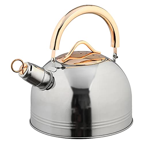 Teekessel 3L -Pfeife Kessel Edelstahl Kaffee Teekessel für Camping im Haushalt von DUMRALBQE