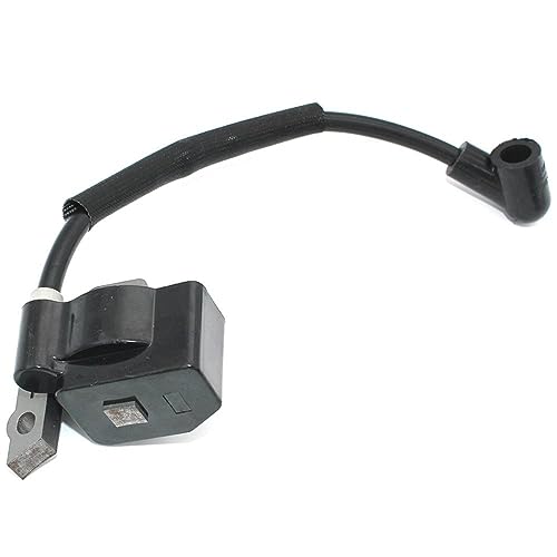 DUNLAP Zündspule Passend for Homelite PSE3000 ST100 ST120 ST145 ST155 ST175 ST185 ST275 ST285 ST385 ST485ST725 SX135 ST285BC ST200 ST von DUNLAP
