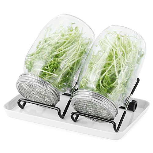 DUNSOO Sprossenglas Set | 2er-Set 1000ml Keimglas mit Deckeln und Haltern und Schalen | Sprossengläser für die Sprossenzucht und Keimung von Samen DUNSOO Sprossenglas Set | 2er-Set 1000ml Keimglas mit Deckeln und Haltern und Schalen | Sprossengläser für die Sprossenzucht und Keimung von Samen von DUNSOO