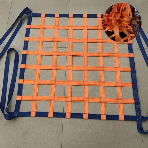 DUOAZJL Robustes Hebenetz – Hängendes Hebenetzs für Gepäck, Starke, tragende Materialhandhabungsgurte, personalisierter Frachtgurt(1 X 1M/Mesh 10cm/Load 300KG) von DUOAZJL