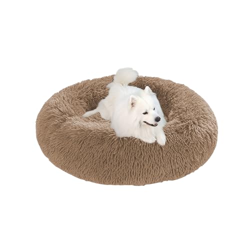 Beruhigendes Anti-Angst-Hundebett in Donut-Form, groß, flauschiges Plüsch-Hundebett mit rutschfester Unterseite, waschbare Haustiermatte, Matratze für den Innenbereich, Haustier-Schlafnest (110 x 110 Beruhigendes Anti-Angst-Hundebett in Donut-Form, groß, flauschiges Plüsch-Hundebett mit rutschfester Unterseite, waschbare Haustiermatte, Matratze für den Innenbereich, Haustier-Schlafnest (110 x 110 von DUOLEH