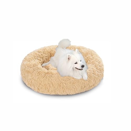 Beruhigendes Anti-Angst-Hundebett in Donut-Form, groß, flauschiges Plüsch-Hundebett mit rutschfester Unterseite, waschbare Haustiermatte, Matratze für den Innenbereich, Haustier-Schlafnest (60 x 60 x Beruhigendes Anti-Angst-Hundebett in Donut-Form, groß, flauschiges Plüsch-Hundebett mit rutschfester Unterseite, waschbare Haustiermatte, Matratze für den Innenbereich, Haustier-Schlafnest (60 x 60 x von DUOLEH