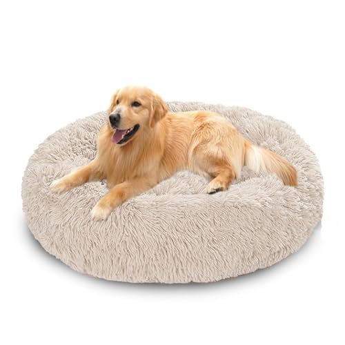 Beruhigendes Hundebett, flauschiger Plüsch, rund, Anti-Angst-Hundekorb, waschbar, rutschfest, Donut-Kissen, warmes Kätzchennest, mittelgroß/groß, 60 x 60 x 20 cm, gebrochenes Weiß Beruhigendes Hundebett, flauschiger Plüsch, rund, Anti-Angst-Hundekorb, waschbar, rutschfest, Donut-Kissen, warmes Kätzchennest, mittelgroß/groß, 60 x 60 x 20 cm, gebrochenes Weiß von DUOLEH