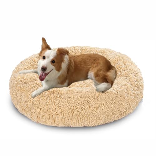 Großes Hundebett, waschbar, Anti-Angst-Hundesofa, warmes Donut-Kissen, weiche, runde Kuschelmatratze, rutschfest, mittelgroß, 60 x 60 x 20 cm, Beige Großes Hundebett, waschbar, Anti-Angst-Hundesofa, warmes Donut-Kissen, weiche, runde Kuschelmatratze, rutschfest, mittelgroß, 60 x 60 x 20 cm, Beige von DUOLEH