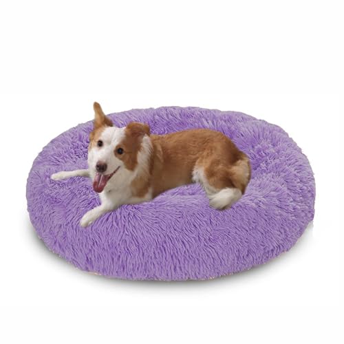 Großes Hundebett, waschbar, Anti-Angst-Hundesofa, warmes Donut-Kissen, weiche, runde Kuschelmatratze, rutschfest, mittelgroß, 60 x 60 x 20 cm, Lila Großes Hundebett, waschbar, Anti-Angst-Hundesofa, warmes Donut-Kissen, weiche, runde Kuschelmatratze, rutschfest, mittelgroß, 60 x 60 x 20 cm, Lila von DUOLEH