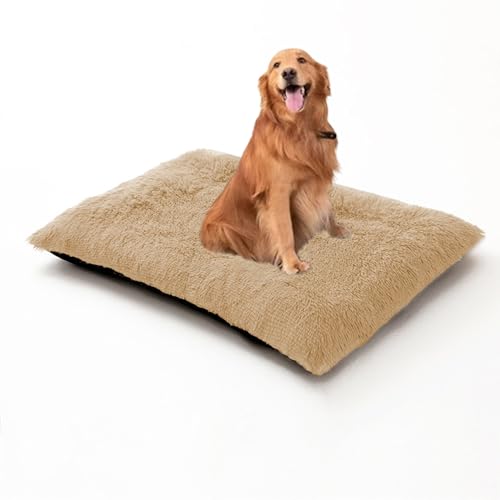 Herausnehmbare Hundebetten, waschbares, rechteckiges Haustierbett, Kissen für Hunde und Katzen, orthopädische Haustiermatratze, Matte für Kiste, rutschfestes Welpen-Sofa-Kissen (70 x 50 x 8 cm, Beige) Herausnehmbare Hundebetten, waschbares, rechteckiges Haustierbett, Kissen für Hunde und Katzen, orthopädische Haustiermatratze, Matte für Kiste, rutschfestes Welpen-Sofa-Kissen (70 x 50 x 8 cm, Beige) von DUOLEH