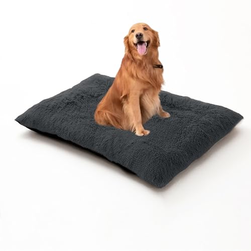 Herausnehmbare Hundebetten, waschbares, rechteckiges Haustierbett, Kissen für Hunde und Katzen, orthopädische Haustiermatratze, Matte für Kiste, rutschfestes Welpen-Sofakissen (140 x 110 x 12 cm Herausnehmbare Hundebetten, waschbares, rechteckiges Haustierbett, Kissen für Hunde und Katzen, orthopädische Haustiermatratze, Matte für Kiste, rutschfestes Welpen-Sofakissen (140 x 110 x 12 cm von DUOLEH