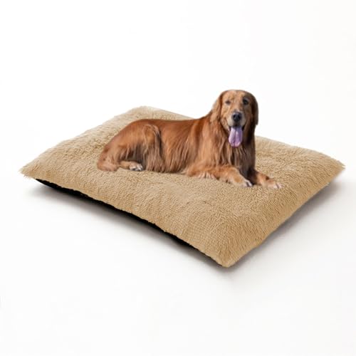 Hundebett, groß, waschbar, weich, warm, Anti-Angst-Haustierbett, Sofa, flauschige Haustierbox-Matratze, rutschfestes Kissen für Katzen, Welpen, 65 x 48 x 8 cm, Beige Hundebett, groß, waschbar, weich, warm, Anti-Angst-Haustierbett, Sofa, flauschige Haustierbox-Matratze, rutschfestes Kissen für Katzen, Welpen, 65 x 48 x 8 cm, Beige von DUOLEH