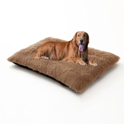 Hundebett, groß, waschbar, weich, warm, Anti-Angst-Haustierbett, Sofa, flauschige Haustierbox-Matratze, rutschfestes Kissen für Katzen, Welpen, 78 x 55 x 10 cm, Khaki Hundebett, groß, waschbar, weich, warm, Anti-Angst-Haustierbett, Sofa, flauschige Haustierbox-Matratze, rutschfestes Kissen für Katzen, Welpen, 78 x 55 x 10 cm, Khaki von DUOLEH