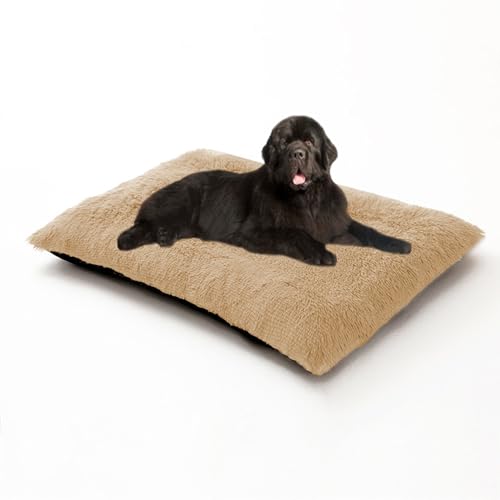 Hundebetten, groß, waschbar, beruhigendes Anti-Angst-Haustierkissen, Haustier-Schlafmatratze, Matte, rutschfest, rechteckig, Hundebett für Kiste, Welpen-Sofa-Kissen, Matte (65 x 48 x 8 cm, Beige) von DUOLEH