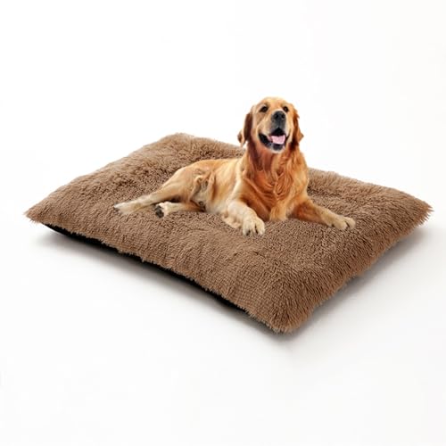Hundekäfigbett, waschbar, groß, beruhigende Haustierbox-Matratze mit abnehmbarem Bezug, lange Plüsch-Matte, Anti-Angst-Matte, rutschfestes Hundekissen, flauschige Haustierbetten (100 x 70 x 10 cm Hundekäfigbett, waschbar, groß, beruhigende Haustierbox-Matratze mit abnehmbarem Bezug, lange Plüsch-Matte, Anti-Angst-Matte, rutschfestes Hundekissen, flauschige Haustierbetten (100 x 70 x 10 cm von DUOLEH