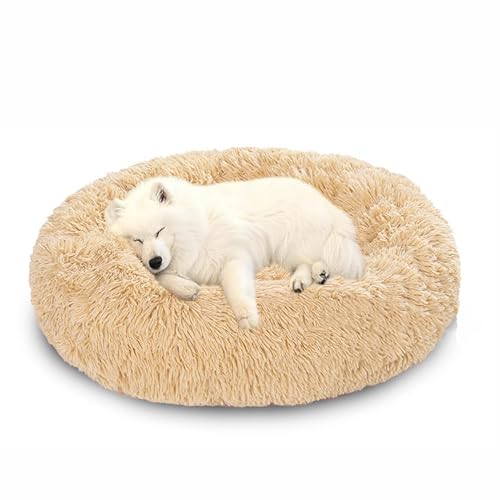 Orthopädische Hundebetten, beruhigendes Donut-Hundebett, flauschiges Donut-Kissen, rutschfeste Donut-Matratze, für den Innenbereich, maschinenwaschbar (60 x 60 x 20 cm, Beige) von DUOLEH
