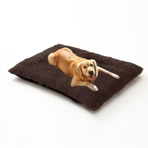 Orthopädisches Hundebett, groß, waschbar, flauschiges Hundesofa, Kissenmatte, mittelgroß, warme Haustierbox-Matratze, abnehmbares Haustierkissen mit rutschfester Unterseite (120 x 90 x 10 cm, Braun) Orthopädisches Hundebett, groß, waschbar, flauschiges Hundesofa, Kissenmatte, mittelgroß, warme Haustierbox-Matratze, abnehmbares Haustierkissen mit rutschfester Unterseite (120 x 90 x 10 cm, Braun) von DUOLEH