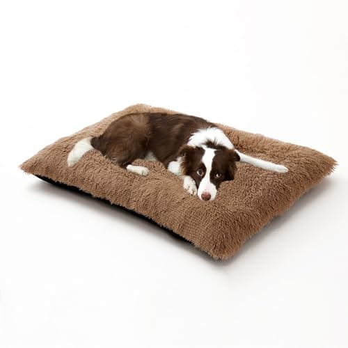 Waschbare, rechteckige Hundebetten, beruhigende, flauschige Haustiermatratze, Anti-Angst-Hundematratze, orthopädische Haustier-Sofabetten, Welpen-Kissen mit rutschfester Unterseite (65 x 48 x 8 cm Waschbare, rechteckige Hundebetten, beruhigende, flauschige Haustiermatratze, Anti-Angst-Hundematratze, orthopädische Haustier-Sofabetten, Welpen-Kissen mit rutschfester Unterseite (65 x 48 x 8 cm von DUOLEH